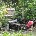 Life along the tributaries of the Mekong