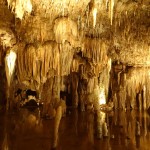Living formations of the caverns
